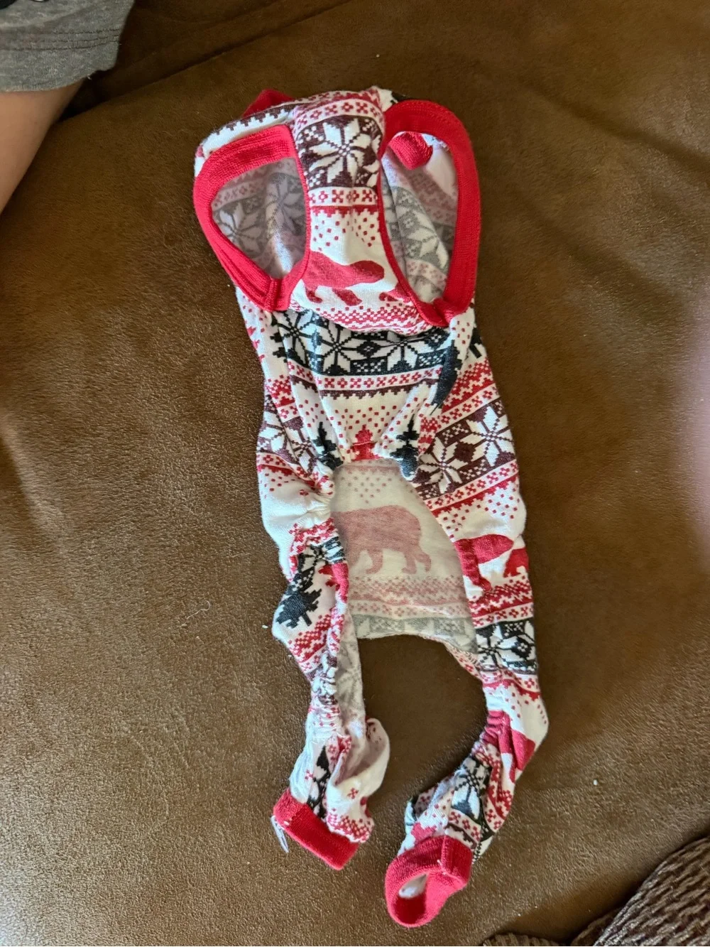 8 XS dog outfits